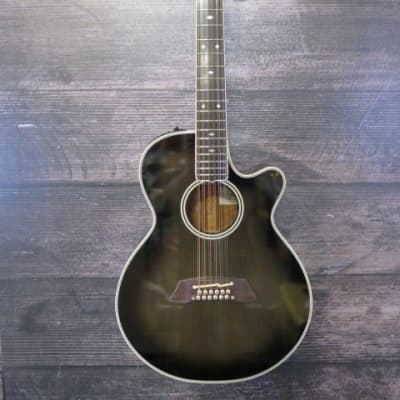 Takamine NPT110-12 12 String Guitar (Richmond, VA) | Reverb
