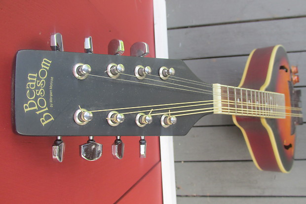 Morgan Monroe Bean Blossom Sunburst Acoustic-Electric | Reverb