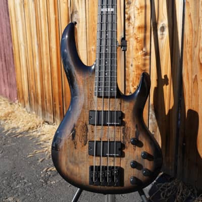 ESP BTL-4 - Black Natural Burst 4-String Electric Bass Guitar w/ Case (2024) image 4