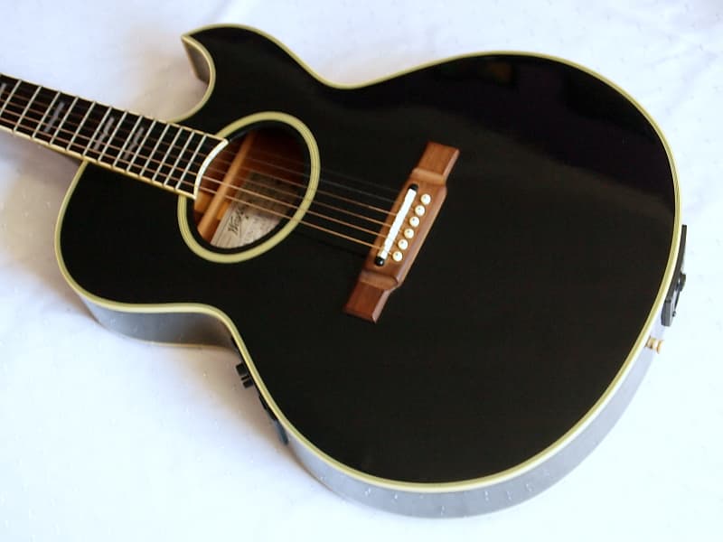 ギター Washburn EA22B PLATINUM EDITION Washburn EA-22 {Platinum Edition} | Nuno Bettencourt Signatu