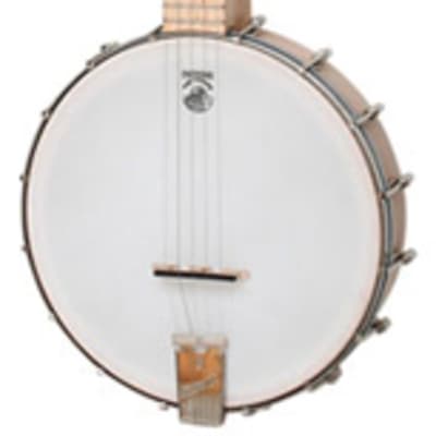 Deering Goodtime Open Back 5 String Banjo image 1