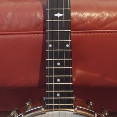 Saga 5-String Banjo Openback +VIDEO image 3