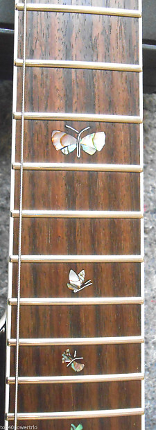 Vox Virage II (2) Custom Butterfly Series VGC2S BF Black Vox Virage II (2) Custom Butterfly Series VGC2S BF Black