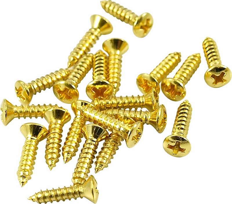 WD Screws For Fender Pickguards Phillips Head Gold Pack Of 50 Reverb