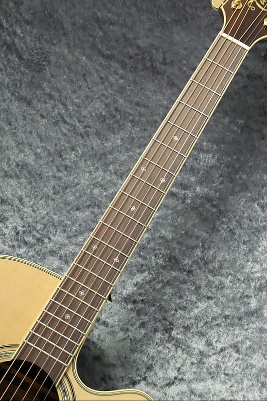 Takamine PTU541C N 2022 -NN