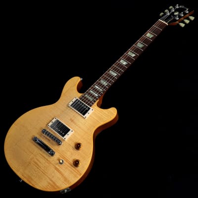 Gibson Les Paul Standard Double Cutaway Plus 2006 - 2007