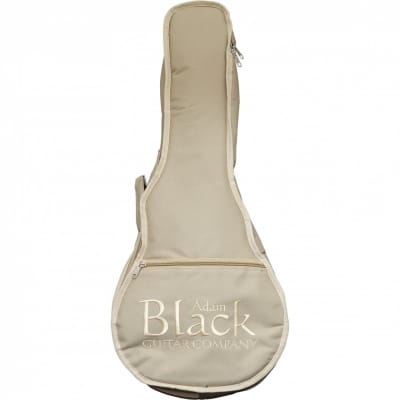 Adam Black MA-04 F-Style Scroll Mandolin with Gigbag - Vintage Sunburst image 5