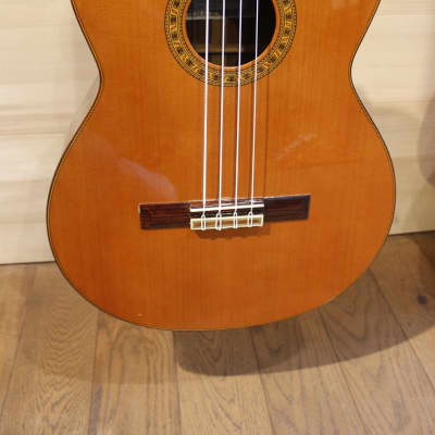 Esteve PS75-4 Contrabass Guitar Cedar Top image 10