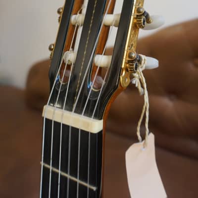Manuel Contreras Brazilian Rosewood Master Guitar image 7