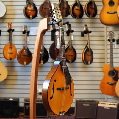 Northfield NFM-A5 Model M Engelmann Spruce/Figured Maple A-Style Mandolin Amber Top w/Hard Case image 5