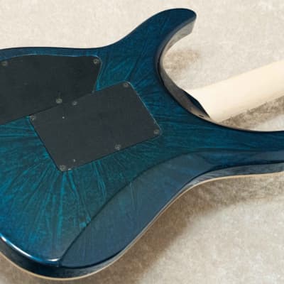 G-Life Guitars DSG Life Ash WM Active -Dark Crystal Blue Moon- [Made in Japan] image 8