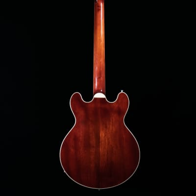 Eastman T184-MX, Fully Solid Carved Thinline, Maple Top, Mahogany Back/Sides - NEW image 5