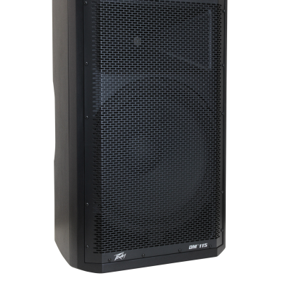 2 Peavey Dark Matter DM 115 15", 1320 Watts Powered Speaker Bundle With Two Speaker Stand & Cables image 5