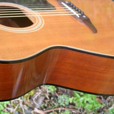 1970年代前期 Takamine Elite F90 OOOサイズ ギター 日本ヴィンテージ】1970年代前期 Takamine Elite F90 OOOサイズ