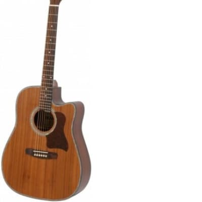 Marris DCEM cheap and great Electro-Acoustic Guitar
