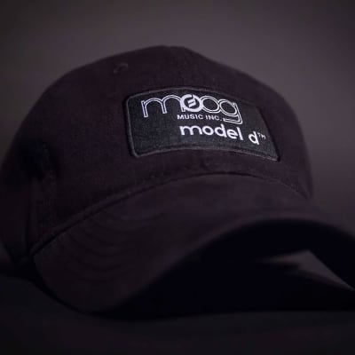 Moog Minimoog Model D Hat [Three Wave Music] image 4