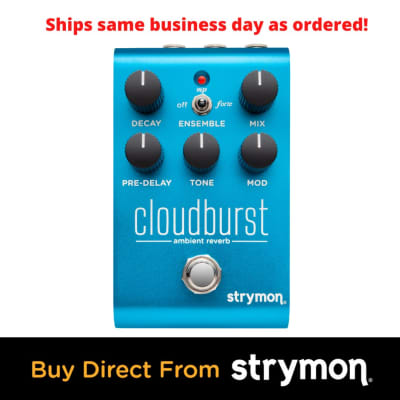 Strymon Cloudburst image 7
