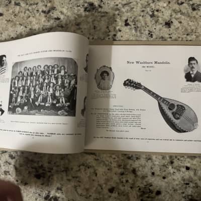 Washburn 1897 guitar mandolin zither banjo reprint catalog Lyon and Healy Lion image 11
