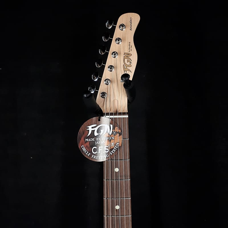 Fujigen FGN Telecaster Japan Boundary Iliad SB | Reverb