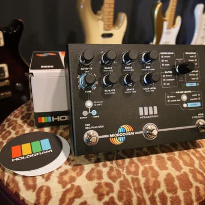 Hologram Electronics Microcosm | Reverb Australia