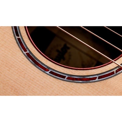 Taylor Custom "The Catch" NAMM 2024 #14 C14ce Grand Auditorium Bearclaw Sitka/AA Indian Rosewood Natural Pre-Order image 7