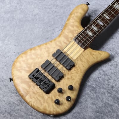 Spector REBOP 4 DLX FM BC  美品 Used Spector Rebop 4 DLX FM Bass Guitar Black Cherry