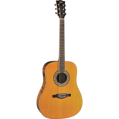 Eko Ranger Futura Electro Acoustic Guitar With Fishman Flex Plus T System New for sale