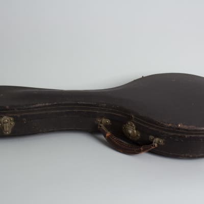 Gibson  Style A-3 Carved Top Mandolin (1919), ser. #53834, original black hard shell case. image 11