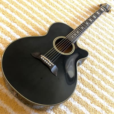 Takamine NPT-115 Transparent Black 1990 | Reverb Canada