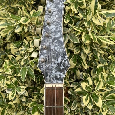 Perlgold Verythin Thinline Guitar 1960 image 6