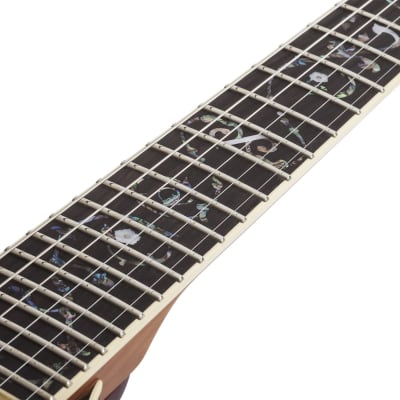 Schecter Avenger Exotic Ziricote image 12