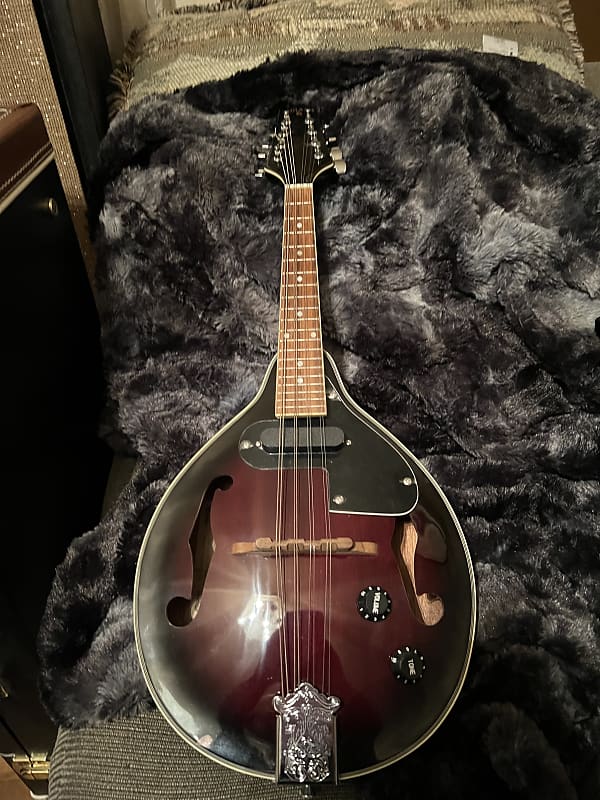 Indiana Be5. Mandolin Sunburst Reverb