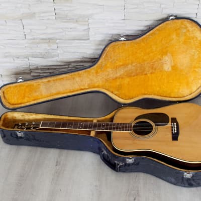 大人気！ Pro Martin W-250 エレアコ | lebastart.com