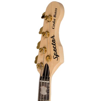 Spector USA Custom Coda4 Deluxe Bass Guitar - Desert Island Gloss - CHUCKSCLUSIVE - #154 - Display Model, Mint image 14