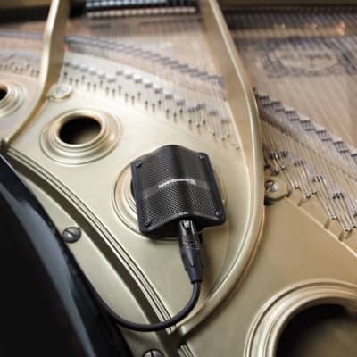Beyerdynamic TG D71 Condenser Boundary Microphone Mic for Bass Drum/Cajon/Piano image 9
