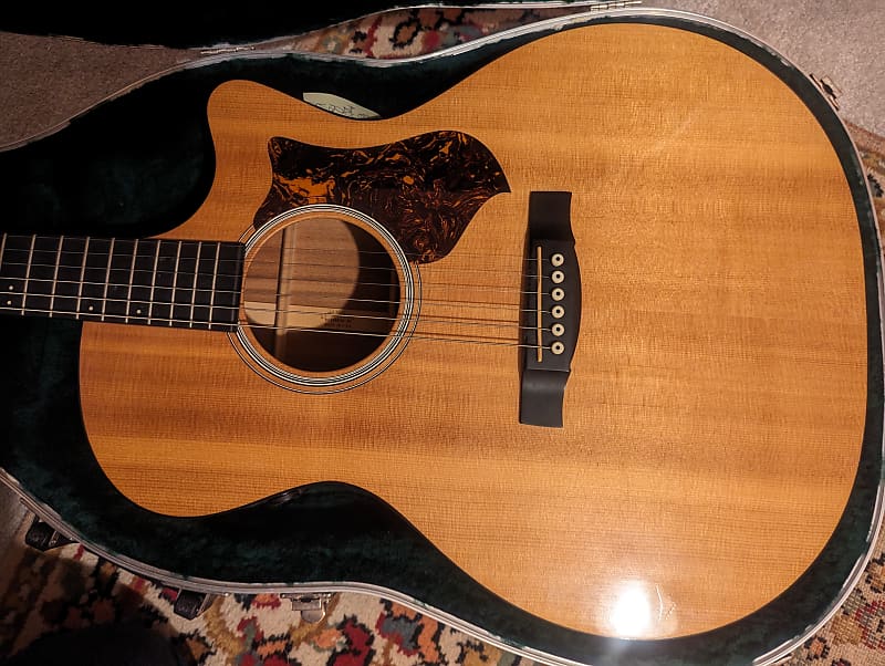 Martin performing on sale artist gpcpa4