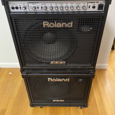 Roland D-BASS 115 ベースコンボアンプ Roland - D-BASS 115 | D-Bass Amplifier