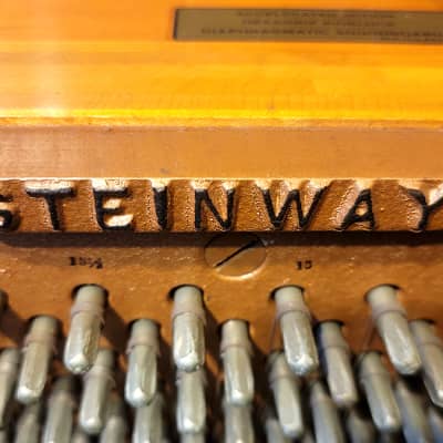 Steinway&Sons F 1969 - Walnut Satin image 5