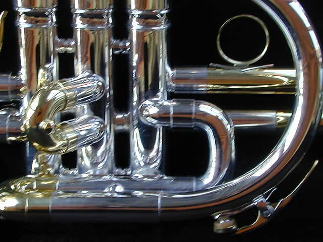 berkeleywind C Bb cornet | Reverb berkeleywind C Bb cornet | Reverb