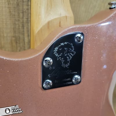 Lyon By Washburn LI15 w/ Gig Bag Used image 8