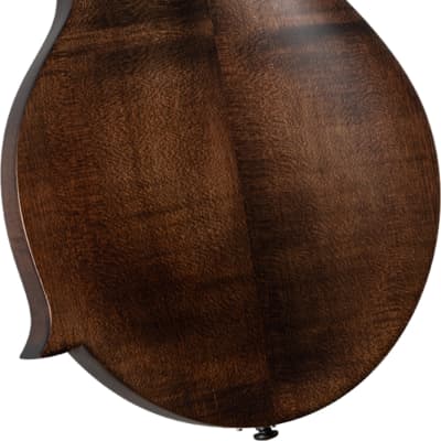 Kentucky KM-606 Standard All Solid Wood F-Model Mandolin w/ Soft Case image 2