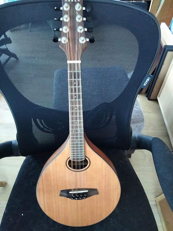 Beautiful Sounding Auden Celtic Mandolin + Internal Pick Reverb UK
