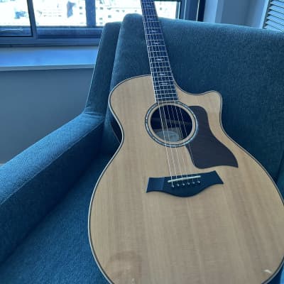 Taylor 814ce with ES2 Electronics