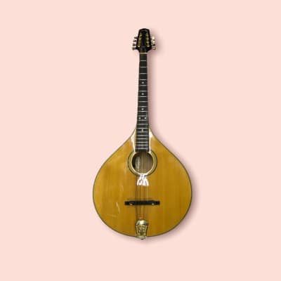 Gold Tone OM-800+ Octave Mandolin (Mahogany)