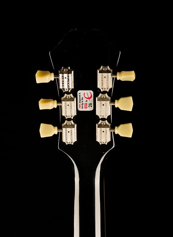 Epiphone ES-339+BIGSBY仕様