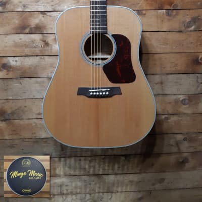 Walden  Natura D740E all-solid dreadnought with gig bag. FREE Canadian shipping (*) image 2