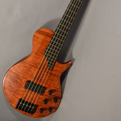 Bolin 5-String Bass Guitar Model NS-5 with Case, Beautiful! image 2