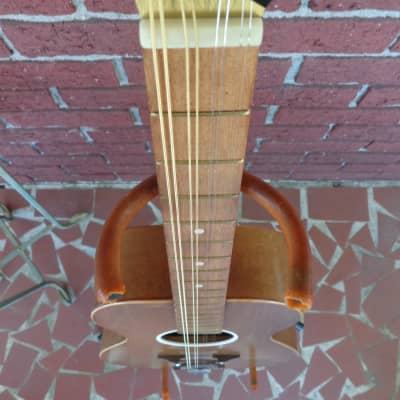 1960's Jackson Guldan Octave Mandolin / Double Irish Tenor Guitar - 24" Scale image 6