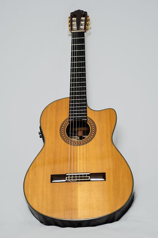 Yamaha GCX-31C Classical Guitar Spruce | Reverb