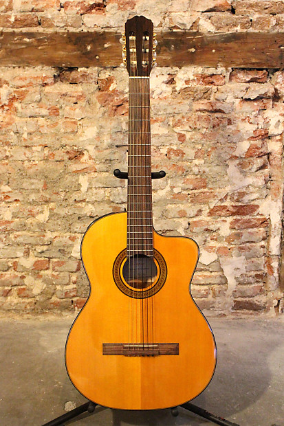 Takamine EG124C